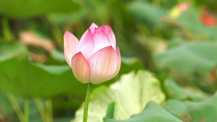 首页 - CG电子官方网站